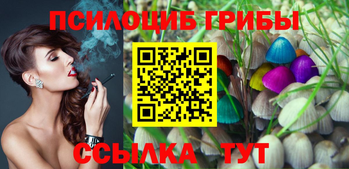 Урус-Мартан  Галлюциногенные грибы Psilocybine cubensis  Псилоцибиновые грибы Psilocybe  магазин  наркотиков  Вход с VPN 